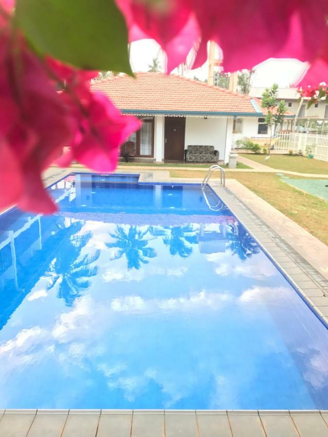 White Rose Beach Resort Marawila Exterior foto